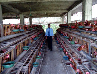 Bank Asia Agricultural  Photo