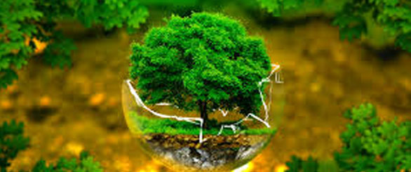 ENVIRONMENT & CLIMATE CHANGE MITIGATION & ADAPTATION